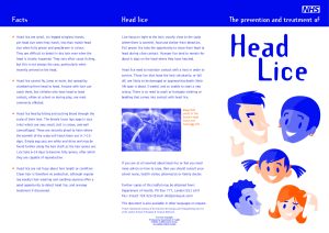thumbnail of headlice-leaflet